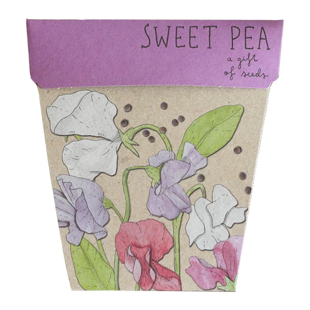 Sow 'n Sow Gift Of Seeds Florals - Image 3