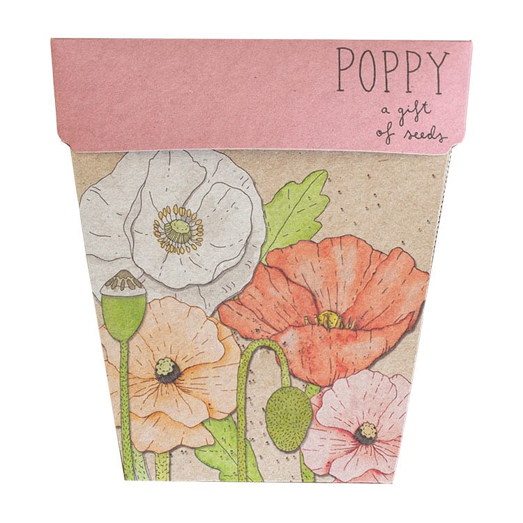 Sow 'n Sow Gift Of Seeds Florals - Image 4