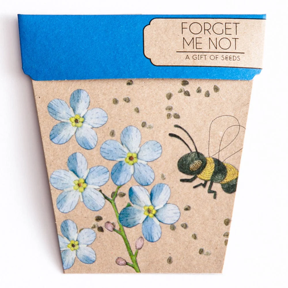 Sow 'n Sow Gift Of Seeds Florals - Image 5