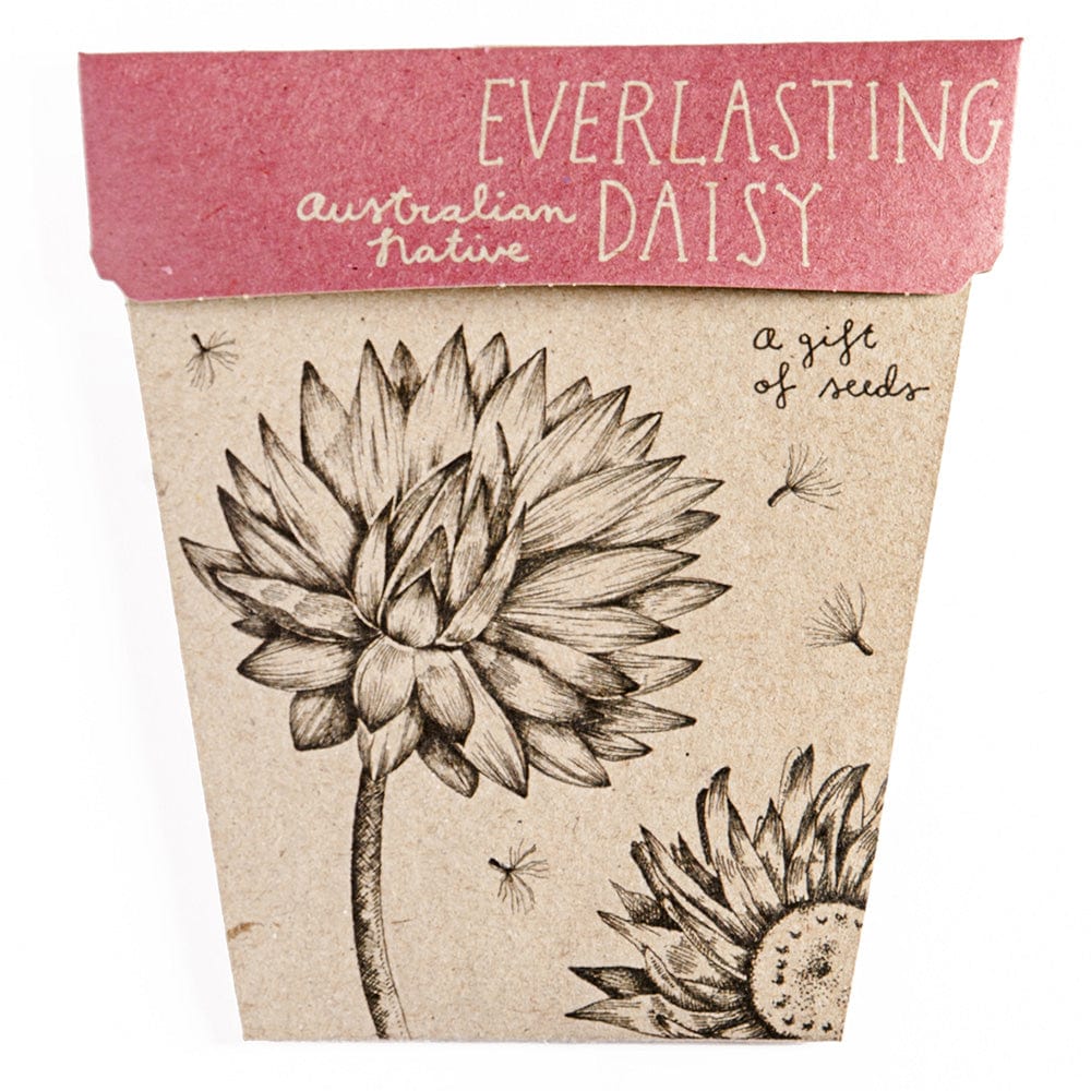 Sow 'n Sow Gift Of Seeds Florals - Image 6