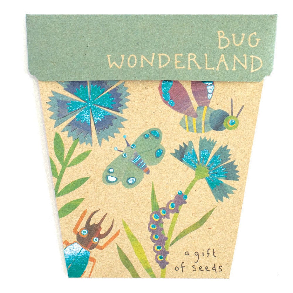 Sow 'n Sow Gift Of Seeds Florals - Image 8